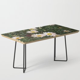 Daisies in spring time - photo illustration design Coffee Table