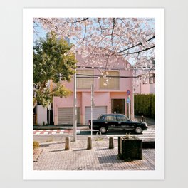 that pink house Art Print