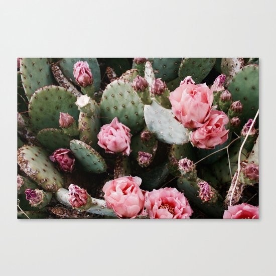 PINK CACTUS FLOWER ABSTRACT CLUSTER PATTERN Canvas Print