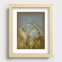 Corn Recessed Framed Print