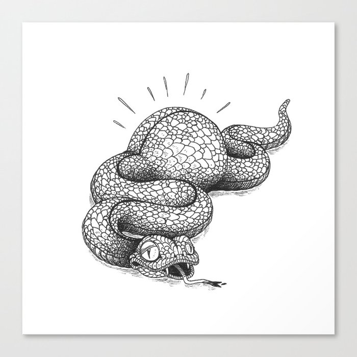 Big Snake Belly Canvas Print