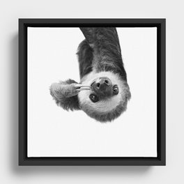 Sloth Framed Canvas