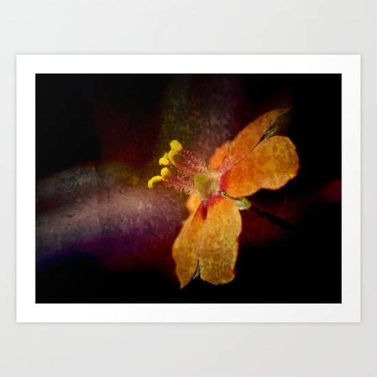 Dark Orange Art Print