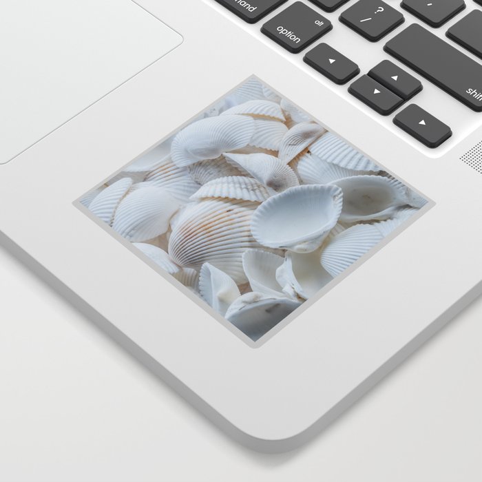 Seashells Sticker