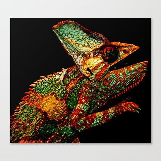 KARMA CHAMELEON Canvas Print