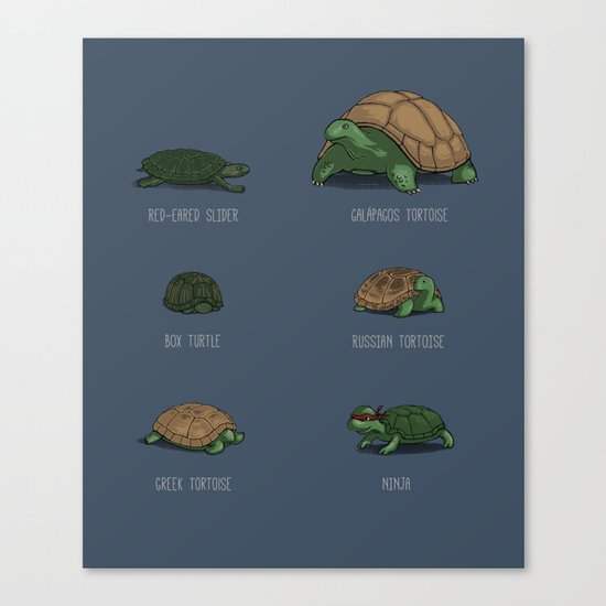 Know Your Turtles Canvas Print