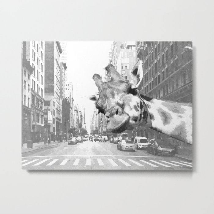 Black and White Selfie Giraffe in NYC Metal Print