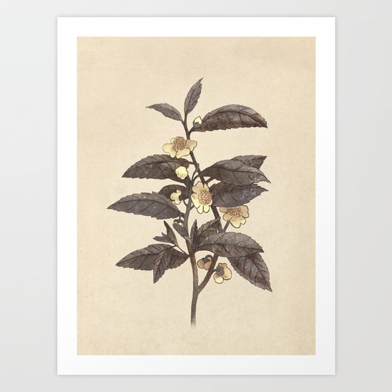 Late Bloom Art Print