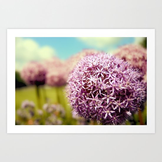 Alliumns Art Print