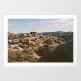 Joshua Tree Art Print