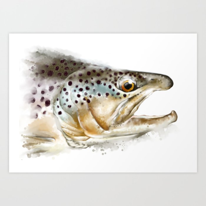 Brown Trout Art Print By Titosr Society6