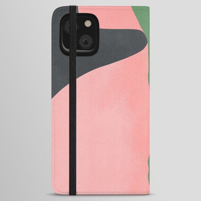 Envy iPhone Wallet Case