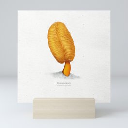 Orange sea pen scientific illustration art print Mini Art Print