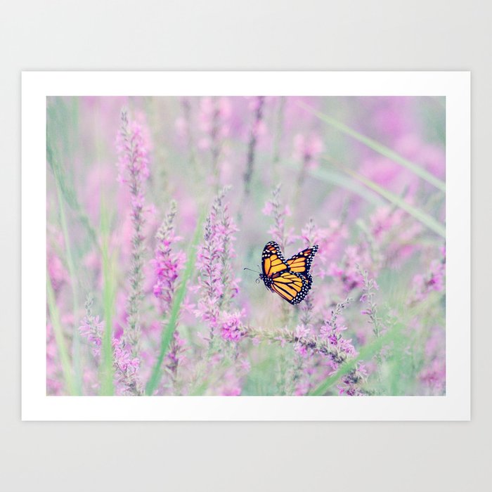 Meadow Monarch Butterfly Art Print
