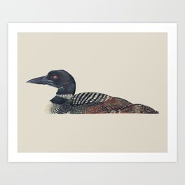 Common Loon Art Print