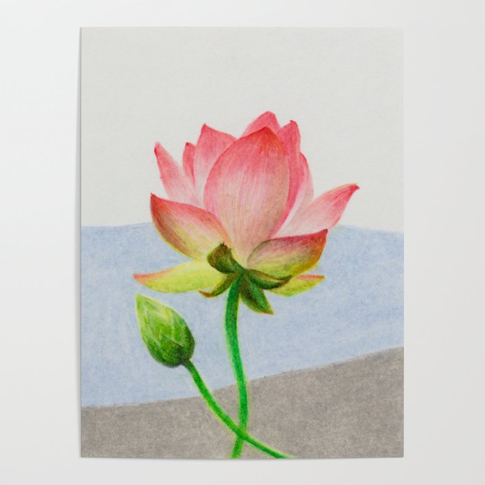 Blooming peach lotus 1 Poster