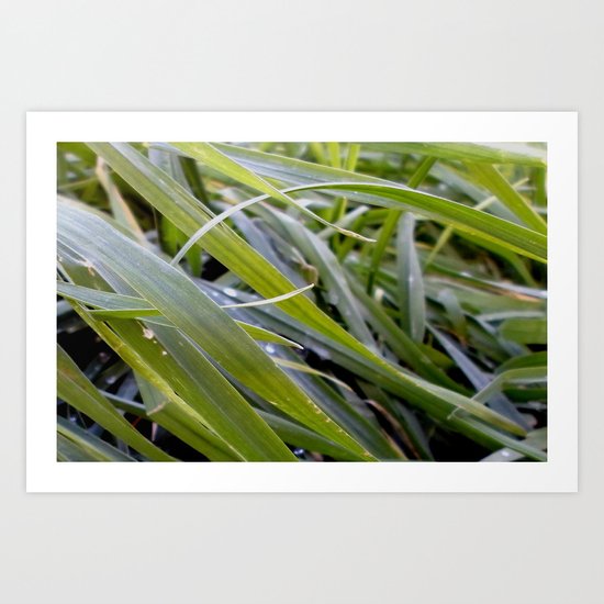 water and greenery Art Print