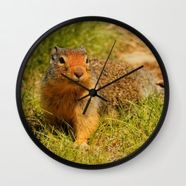 Twitchy Nosed Columbian Ground Squirrel Wall Clock