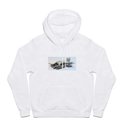 A Cat in the Park Hoody