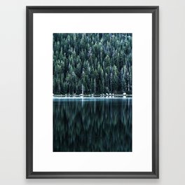 ~ tranquil forest ~ Framed Art Print