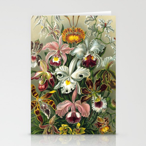 Vintage Orchid Floral Stationery Cards