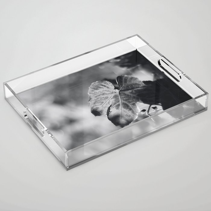 Autumn Grape Leaf in Black and White Acrylic Tray