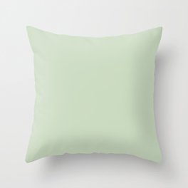 Sage color Throw Pillow