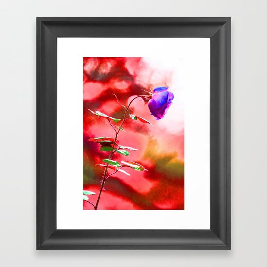 Rose Framed Art Print
