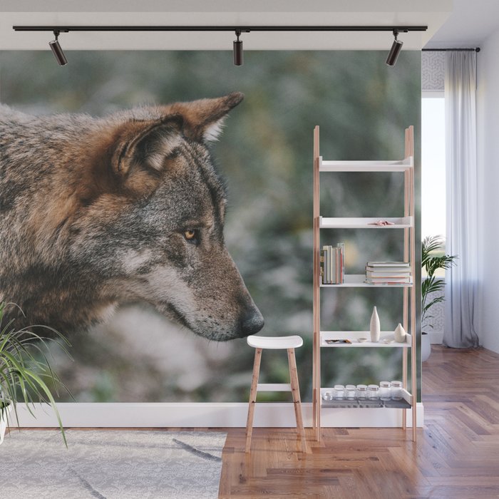 Grey wolf coat top
