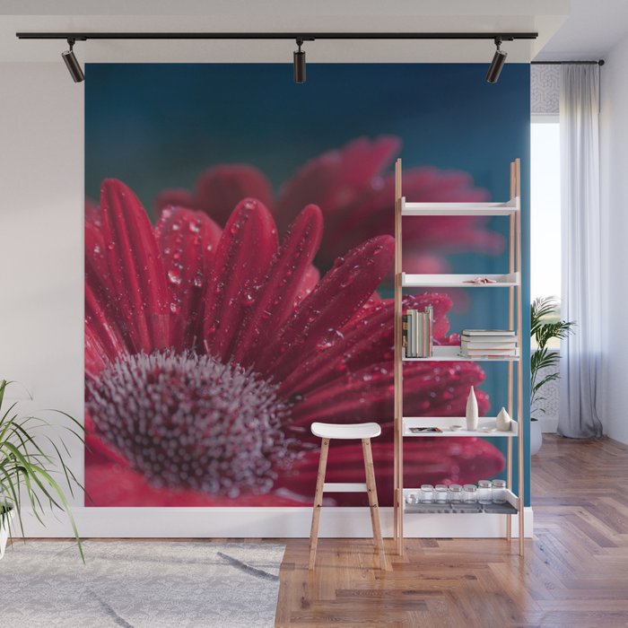 Gerbera Red Jewel Wall Mural