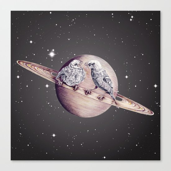Space Sparrows Canvas Print