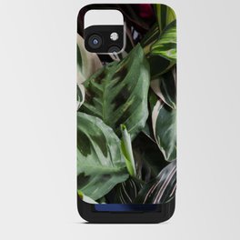 Prayer Plants IV  |  The Houseplant Collection iPhone Card Case