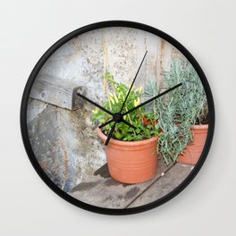 Pots of herbs against a stone wall Wall Clock