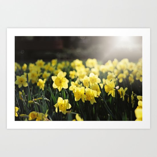 Spring light Art Print