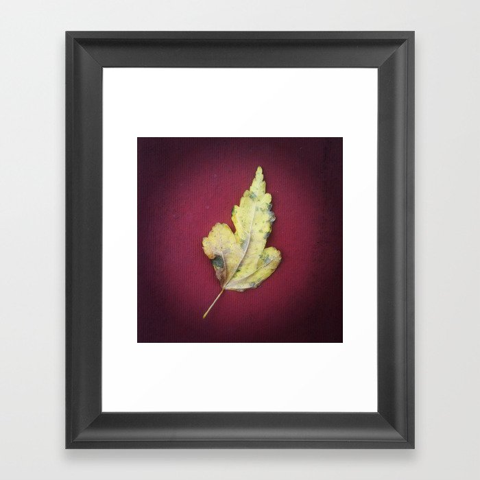 Leaf no. 2 Framed Art Print