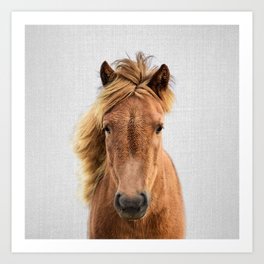 Wild Horse - Colorful Art Print
