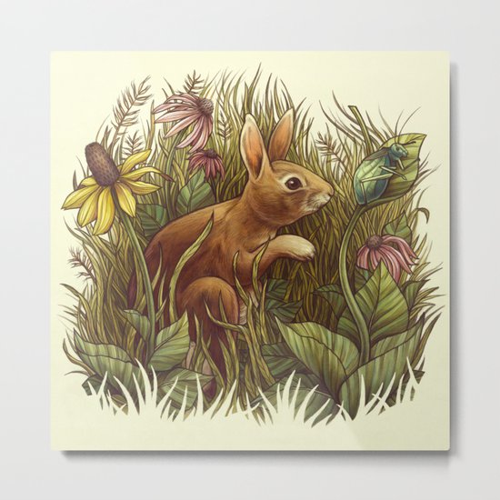 The Cottontail and the Katydid Metal Print