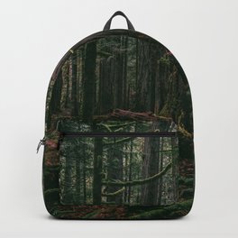 Cathedral Grove Print II | Vancouver Island, BC | Landscape Photography Backpack