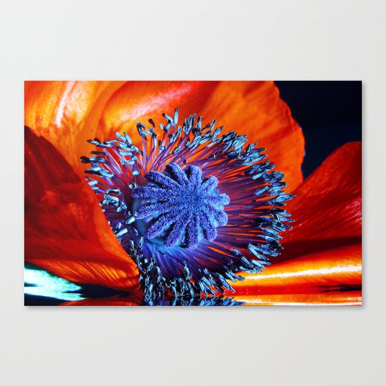 poppy dreams Canvas Print