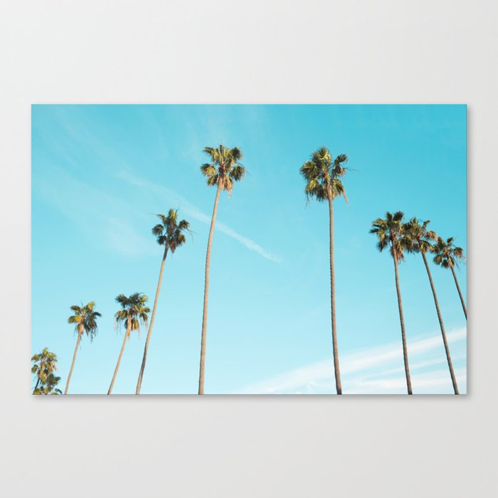 Palm Tree Sunshine Canvas Print