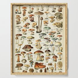Vintage Mushroom & Fungi Chart by Adolphe Millot Serving Tray