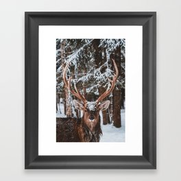 Deer in the forest Framed Art Print