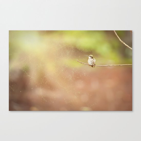 Sitting Pretty Canvas Print