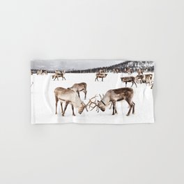 Playing Reindeers In Snow In Tromsø | North Of Norway Photo | Travel Photography Art Print Hand & Bath Towel