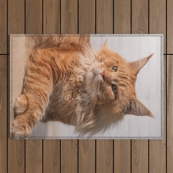 Purebred red Maine Coon cat lying on the floor at home Outdoor Rug