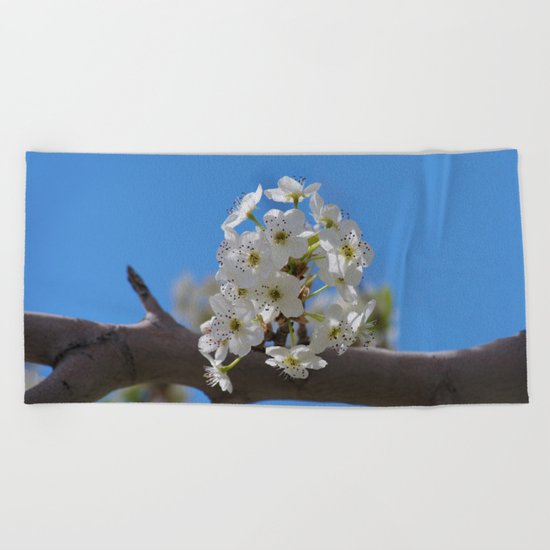 Spring Blossoms - IV Beach Towel