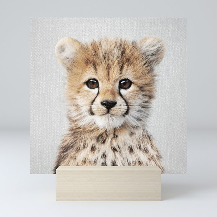 Baby Cheetah - Colorful Mini Art Print