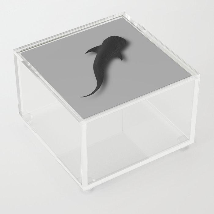 Whale Shark Acrylic Box