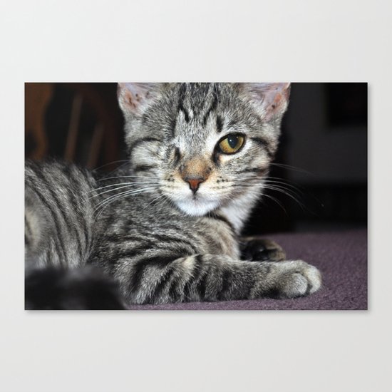 One-Eyed Wonder Canvas Print