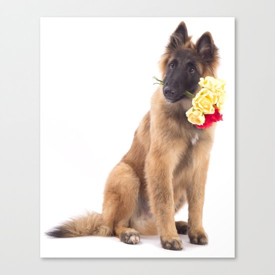Puppy with roses Canvas Print